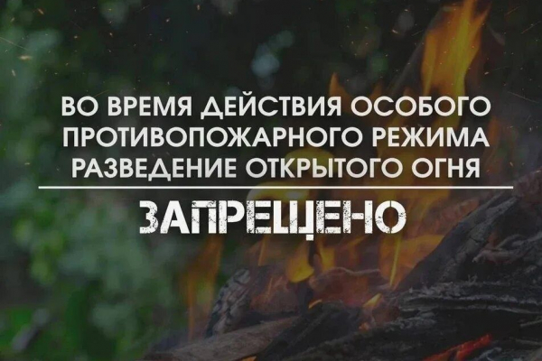 фото: МЧС Томской области