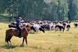Изображение к новости 'Не рубить с плеча'. 