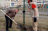 Изображение к новости 'В томской школе появилась берёзовая аллея к 80-летию Великой Победы'.