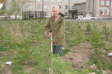 Изображение к новости 'Озеленение продолжается'. 